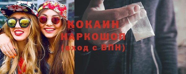 молекула духа Анива