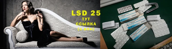 молекула духа Анива