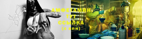 молекула духа Анива