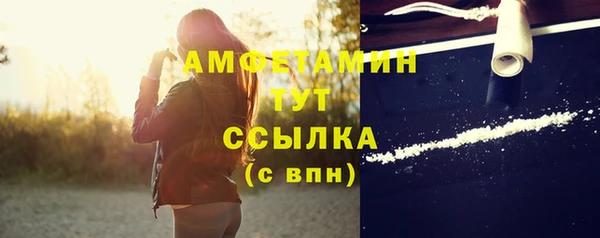 молекула духа Анива