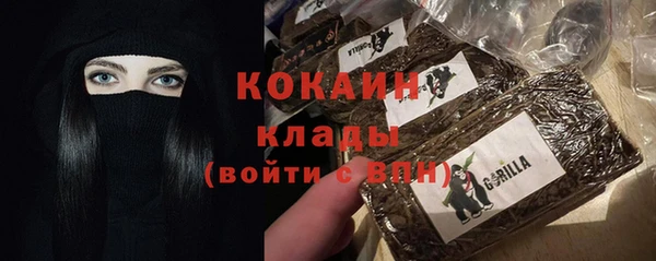 молекула духа Апатиты