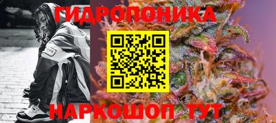 гидра Апшеронск
