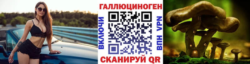 Псилоцибиновые грибы прущие грибы  кракен tor  Борзя  где продают наркотики 