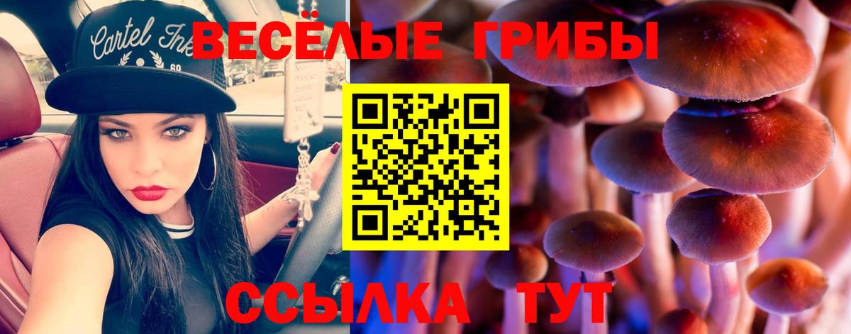 Галлюциногенные грибы Psilocybe  Вход с VPN  Борзя 