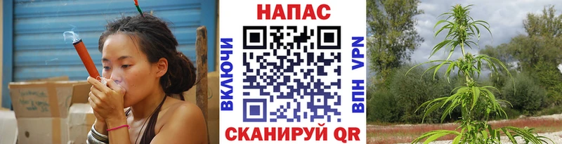 Бошки Шишки конопля  ссылка на мегу ссылка  Борзя 